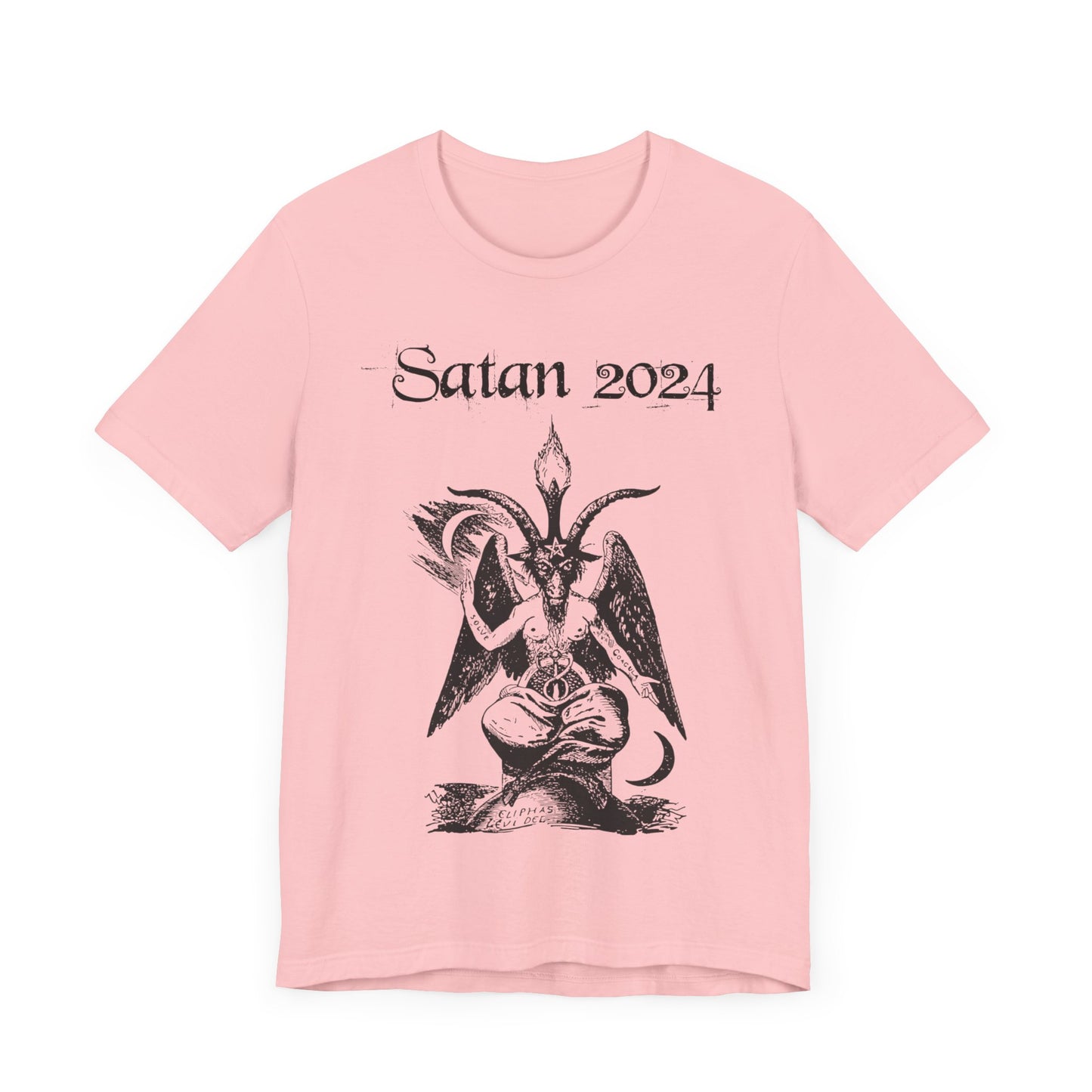 Satan 2024, Political Shirt, Activism Shirt, Liberal Shirt, Science Shirt, Atheist Shirt, Feminism, Trans Rights, LGBTQ Rights