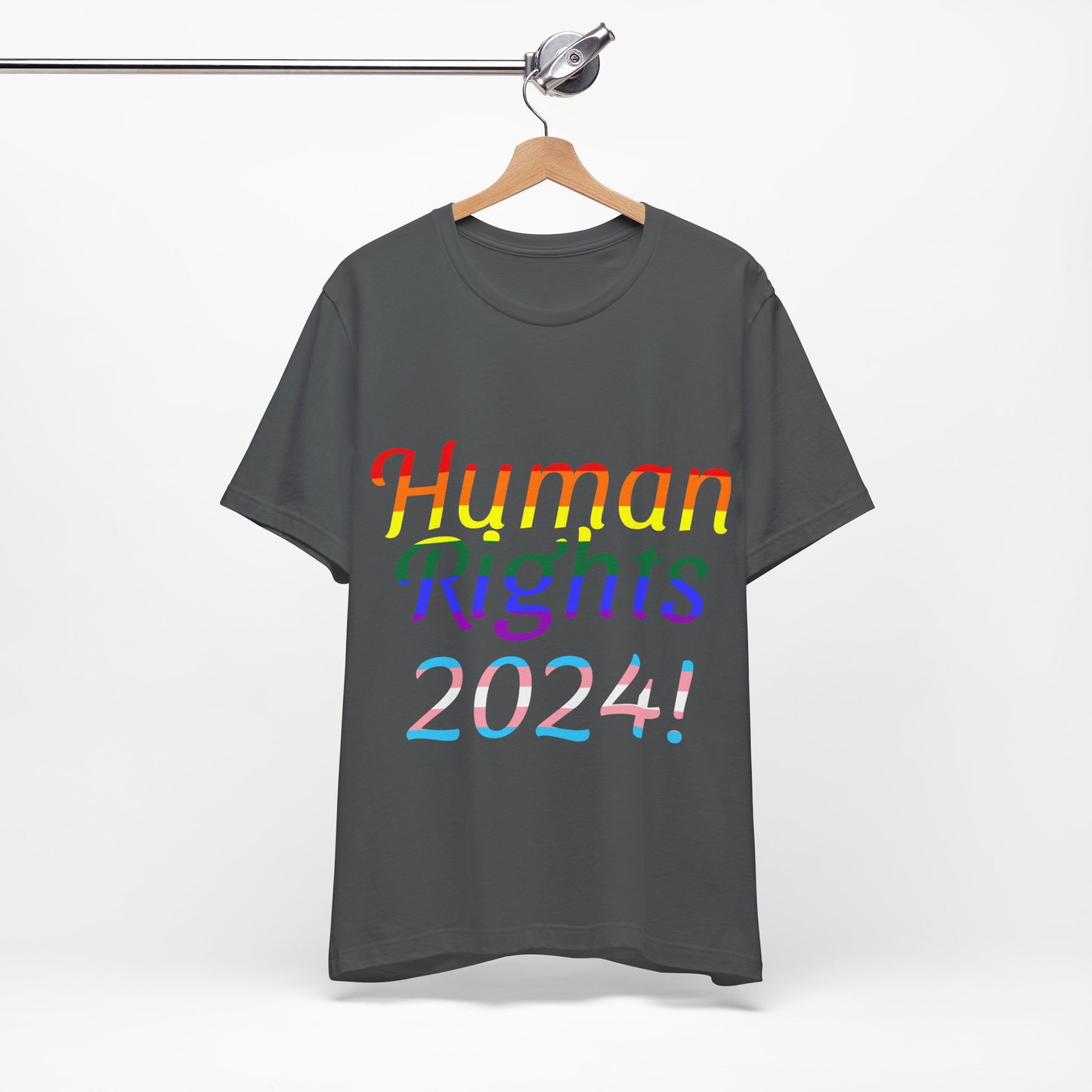 Human Rights 2024!, Political Shirt, Activism Shirt, Liberal Shirt, Science Shirt, Atheist Shirt, Feminism, Trans Rights, LGBTQ Rights