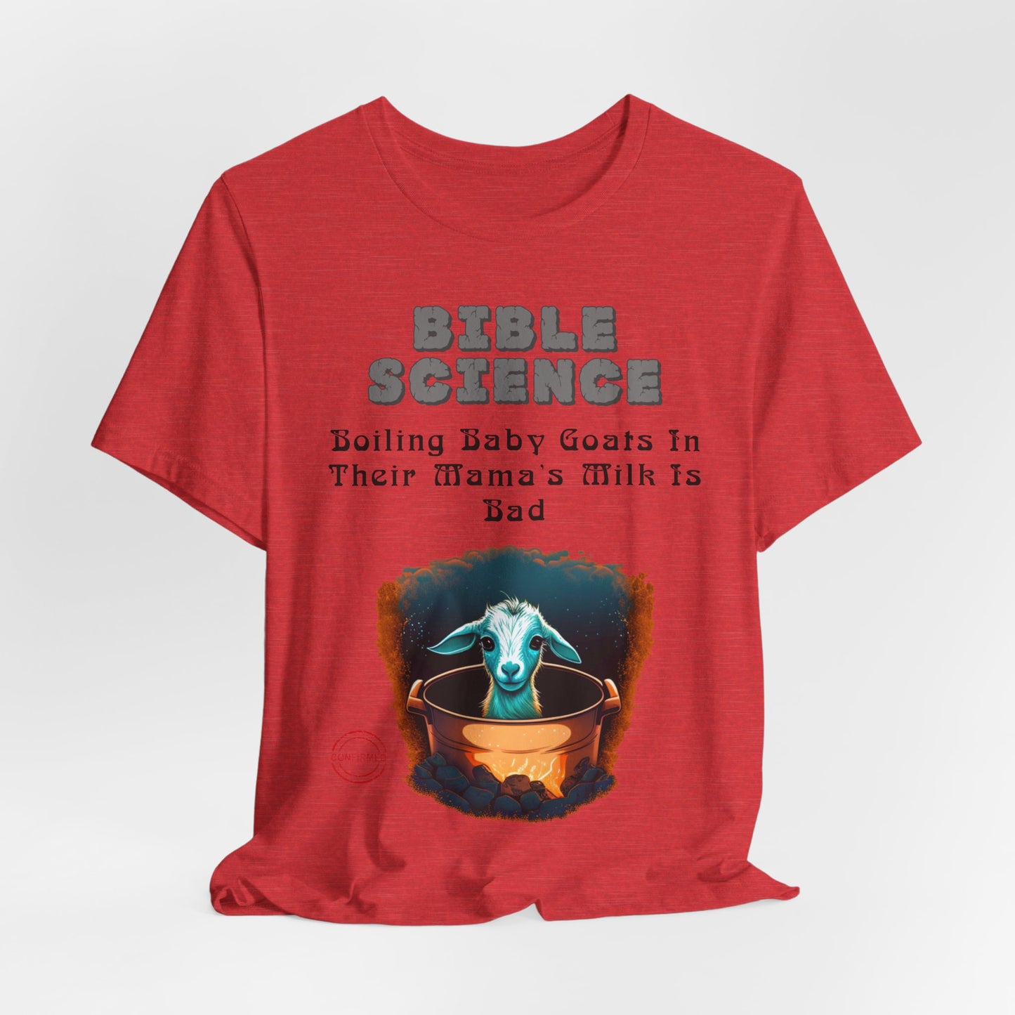 Copy of Walk By Faith, Hit By Bus!, Atheist Shirt, Anti Religion, Satire, Parody, Funny Gift, Science Shirt, Liberal Shirt
