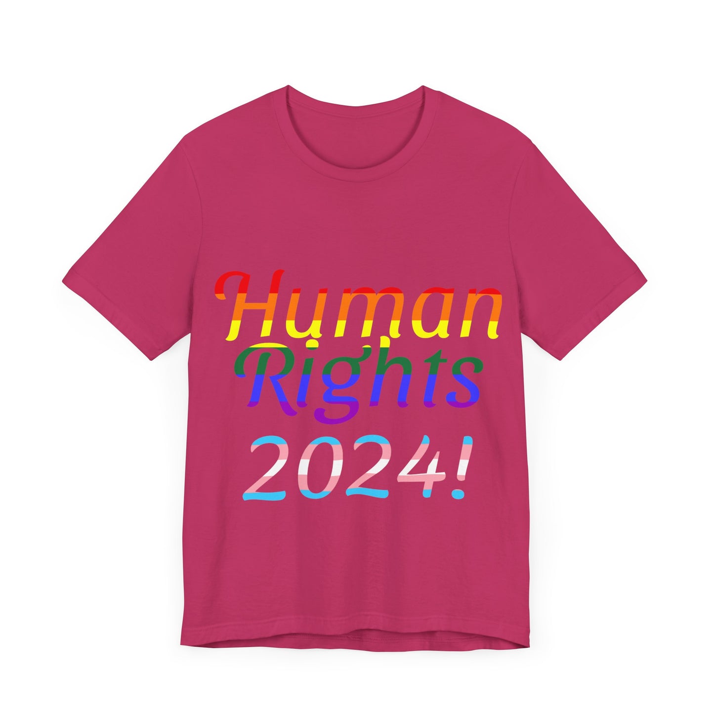 Human Rights 2024!, Political Shirt, Activism Shirt, Liberal Shirt, Science Shirt, Atheist Shirt, Feminism, Trans Rights, LGBTQ Rights