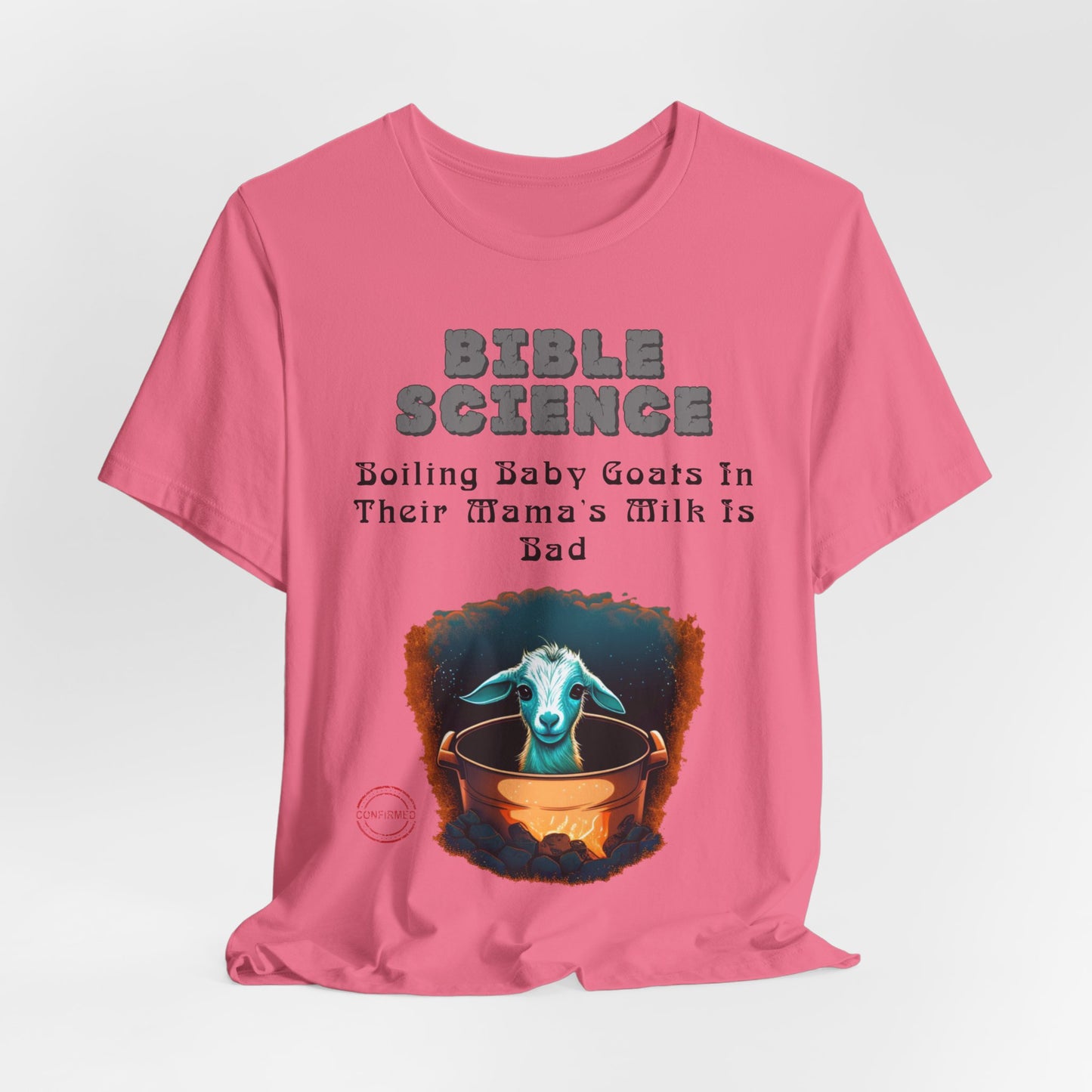 Copy of Walk By Faith, Hit By Bus!, Atheist Shirt, Anti Religion, Satire, Parody, Funny Gift, Science Shirt, Liberal Shirt