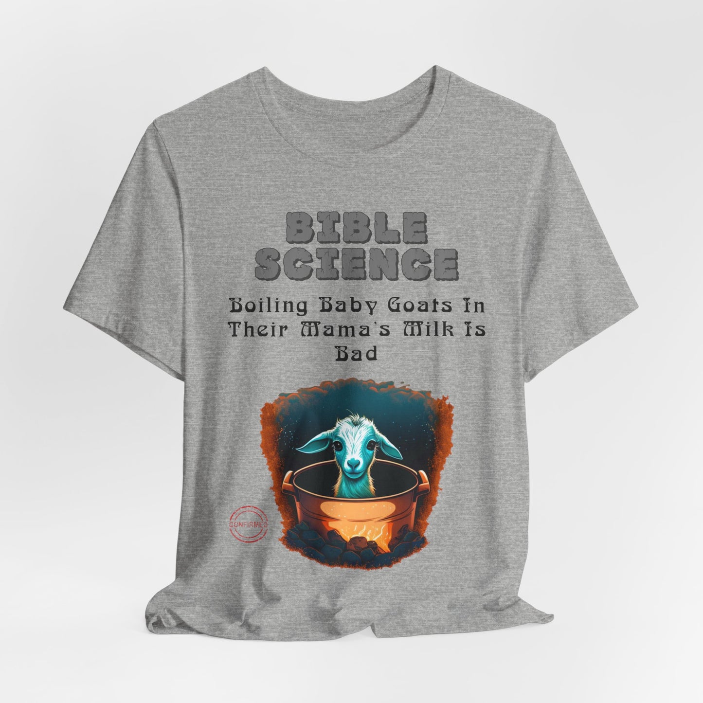 Copy of Walk By Faith, Hit By Bus!, Atheist Shirt, Anti Religion, Satire, Parody, Funny Gift, Science Shirt, Liberal Shirt
