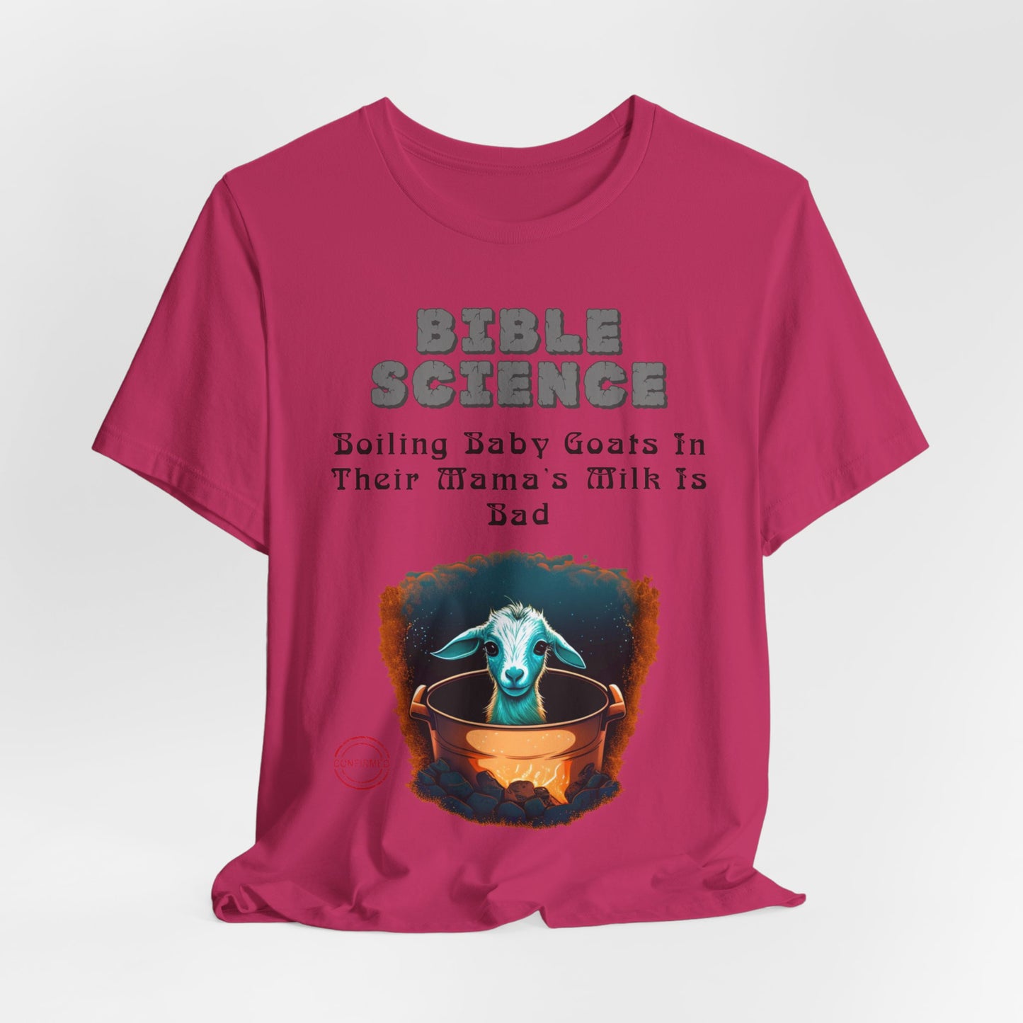 Copy of Walk By Faith, Hit By Bus!, Atheist Shirt, Anti Religion, Satire, Parody, Funny Gift, Science Shirt, Liberal Shirt