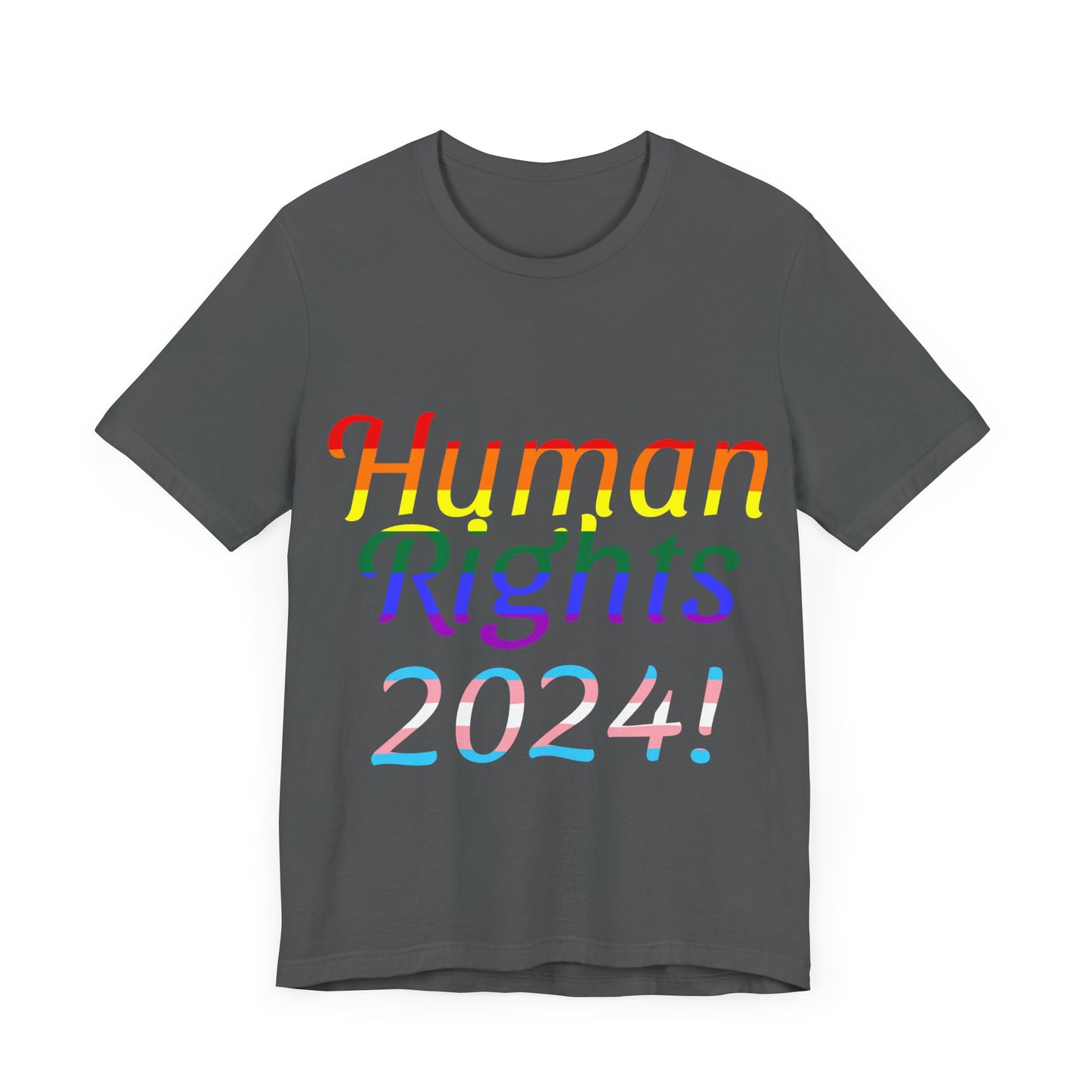 Human Rights 2024!, Political Shirt, Activism Shirt, Liberal Shirt, Science Shirt, Atheist Shirt, Feminism, Trans Rights, LGBTQ Rights