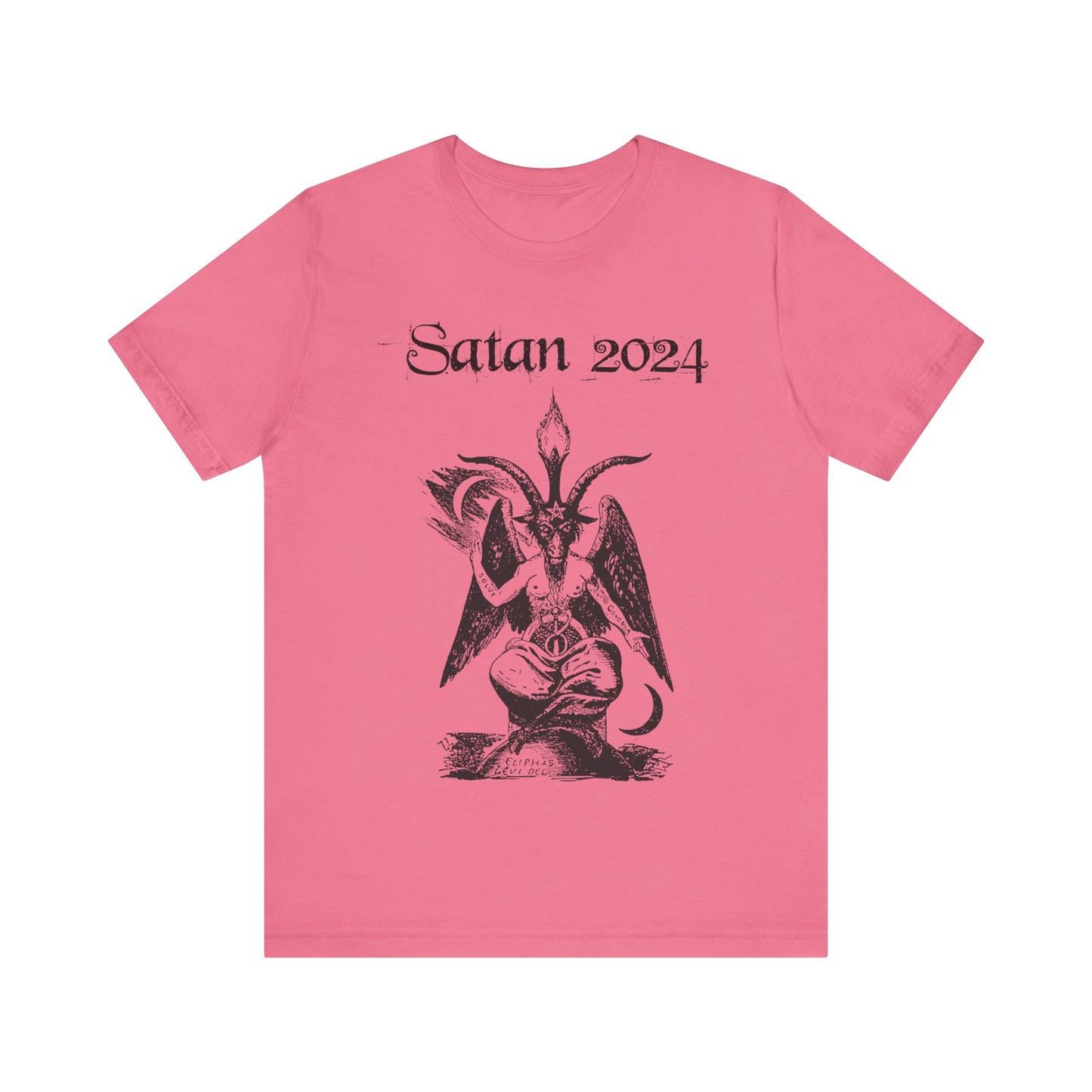 Satan 2024, Political Shirt, Activism Shirt, Liberal Shirt, Science Shirt, Atheist Shirt, Feminism, Trans Rights, LGBTQ Rights