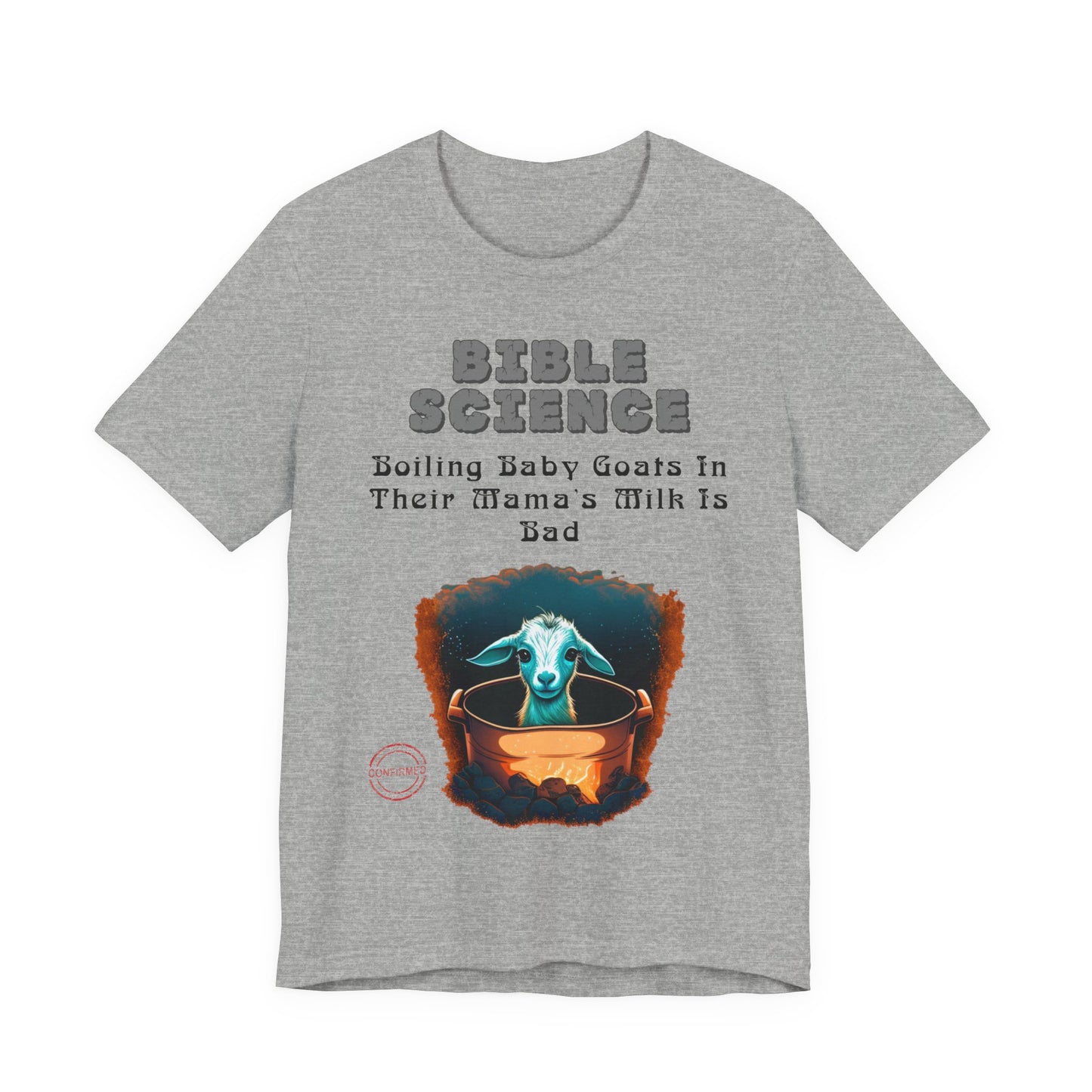 Copy of Walk By Faith, Hit By Bus!, Atheist Shirt, Anti Religion, Satire, Parody, Funny Gift, Science Shirt, Liberal Shirt