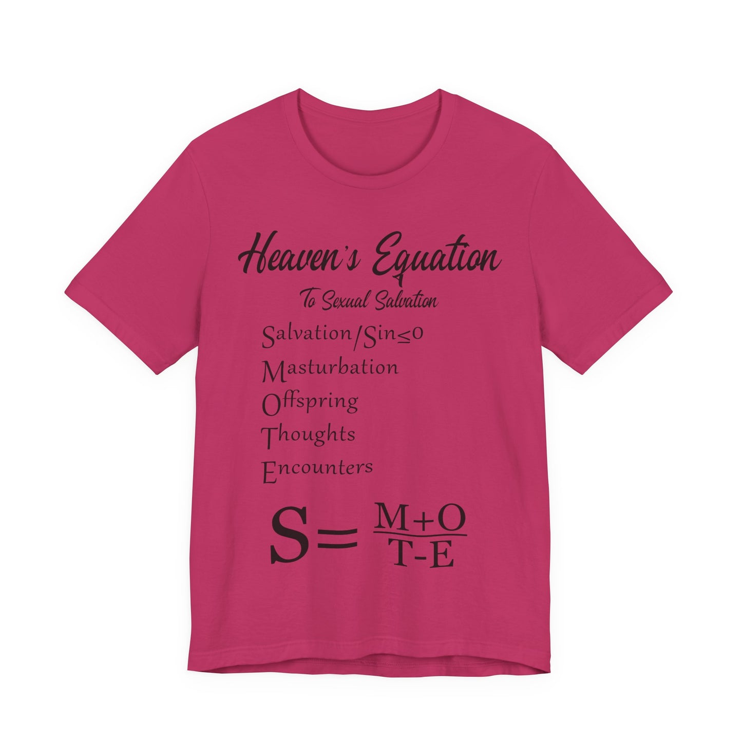 Heaven's Equation: Divine Math, Atheist Shirt, Anti Religion, Satire, Parody, Funny Gift, Science Shirt