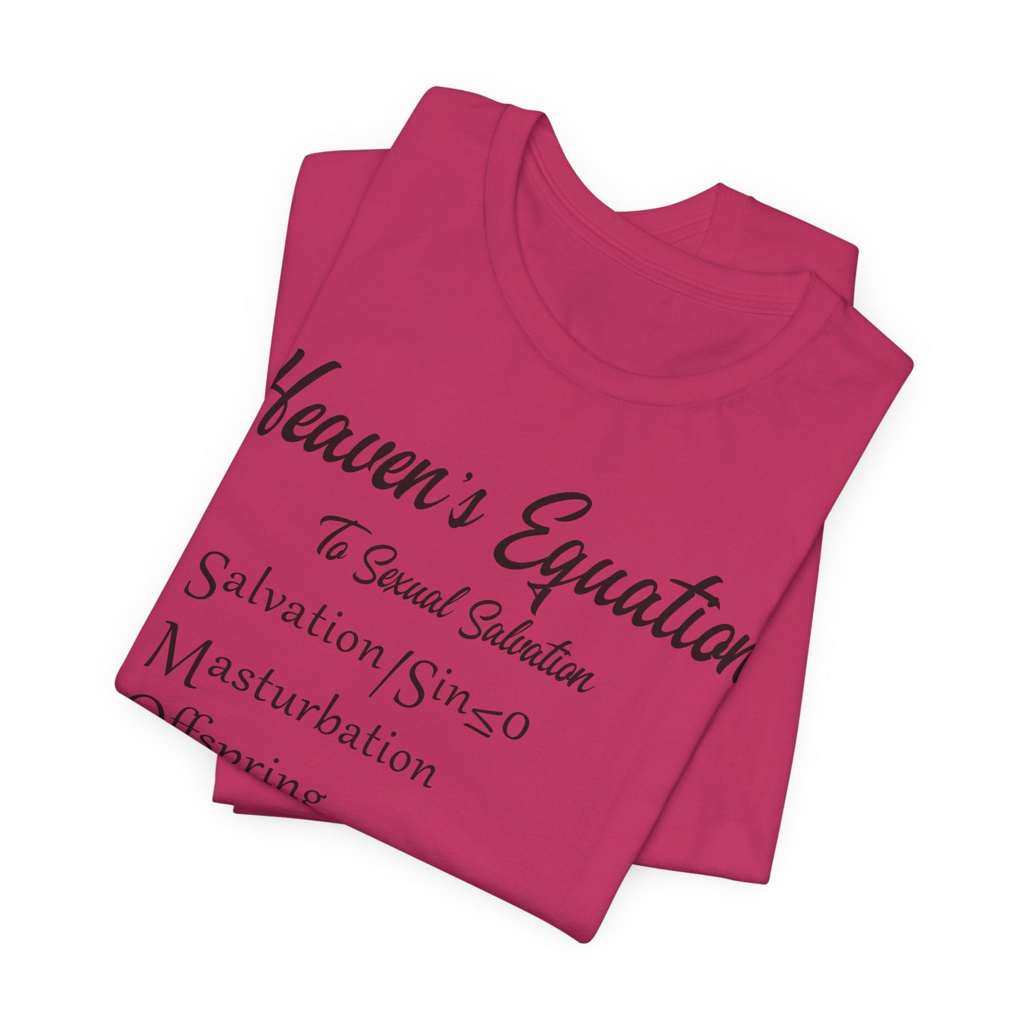 Heaven's Equation: Divine Math, Atheist Shirt, Anti Religion, Satire, Parody, Funny Gift, Science Shirt