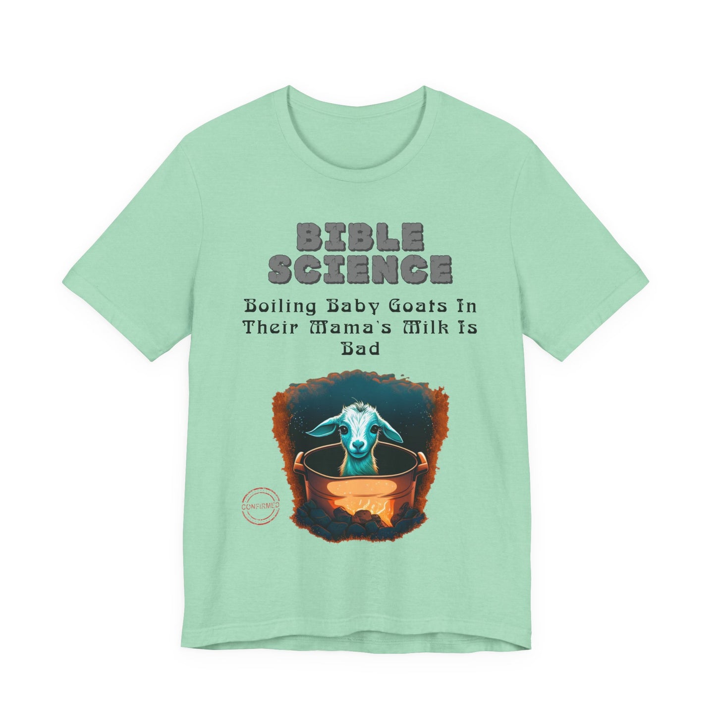 Copy of Walk By Faith, Hit By Bus!, Atheist Shirt, Anti Religion, Satire, Parody, Funny Gift, Science Shirt, Liberal Shirt