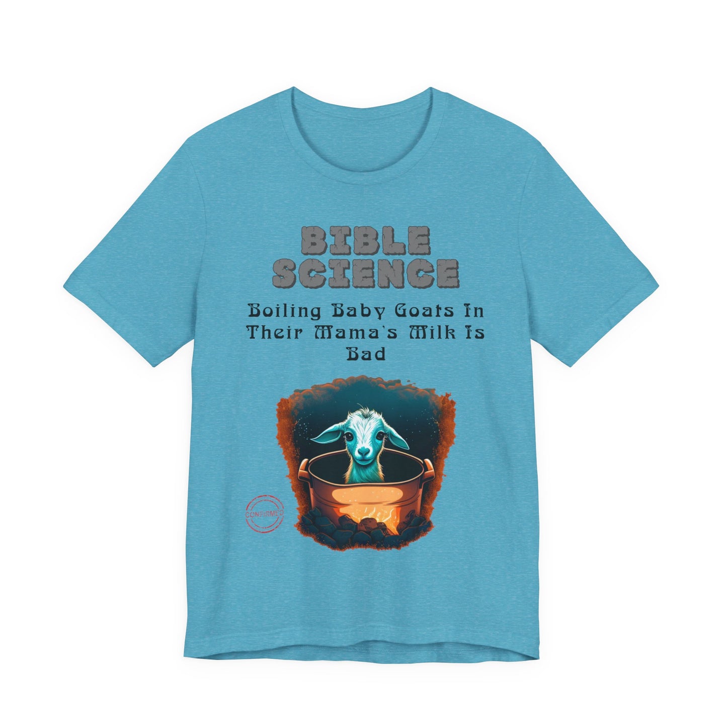 Copy of Walk By Faith, Hit By Bus!, Atheist Shirt, Anti Religion, Satire, Parody, Funny Gift, Science Shirt, Liberal Shirt