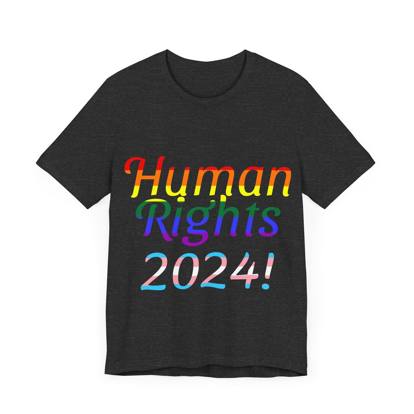 Human Rights 2024!, Political Shirt, Activism Shirt, Liberal Shirt, Science Shirt, Atheist Shirt, Feminism, Trans Rights, LGBTQ Rights