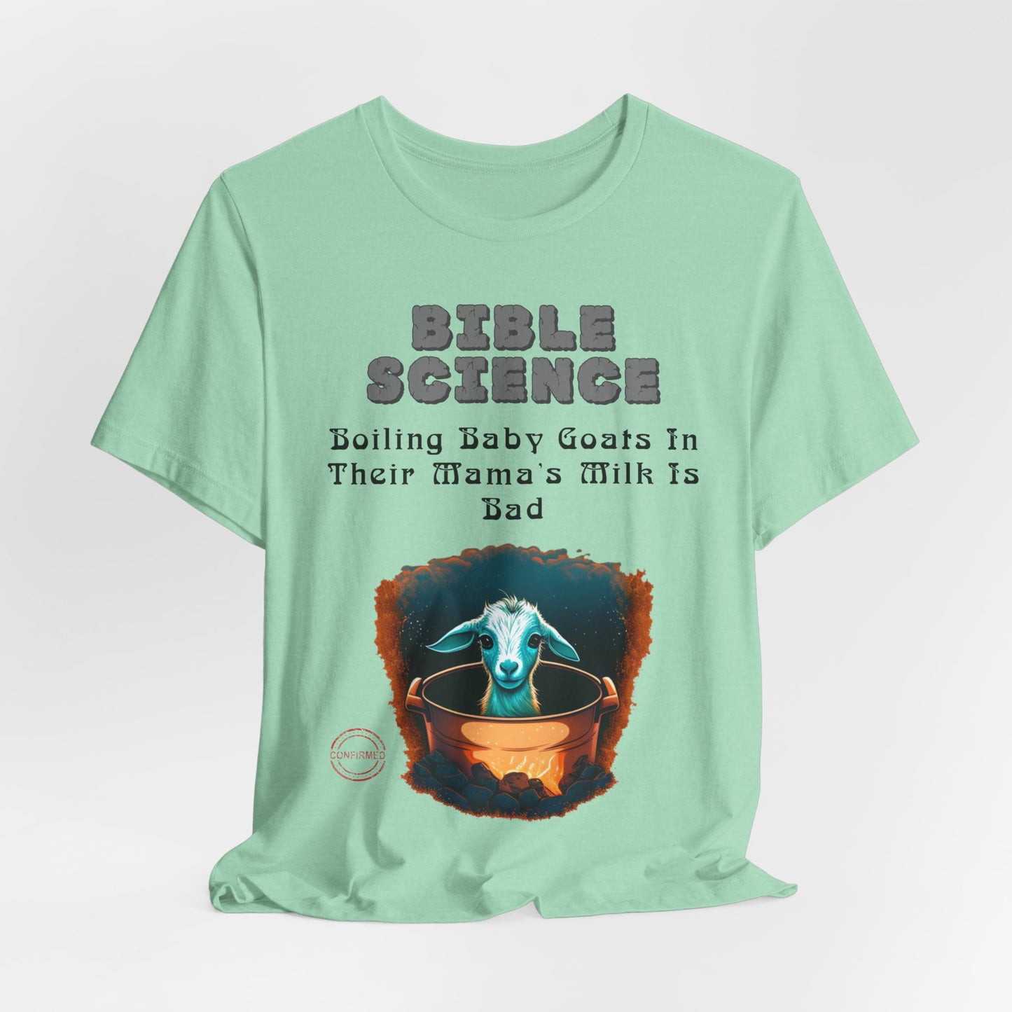 Copy of Walk By Faith, Hit By Bus!, Atheist Shirt, Anti Religion, Satire, Parody, Funny Gift, Science Shirt, Liberal Shirt